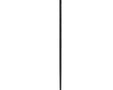 Leki Swtch Ski Pole