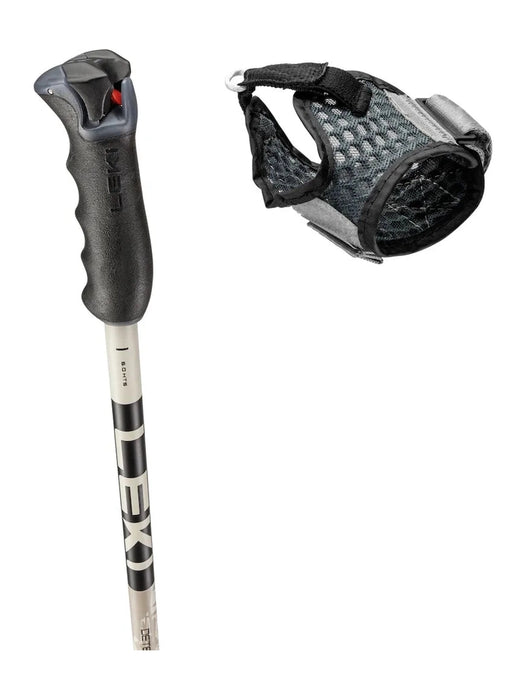 Leki Detect S Vario Adjustable Ski Pole