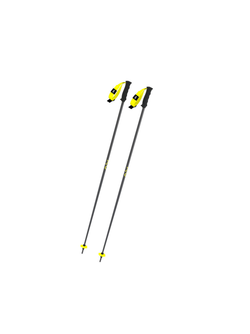 Atomic One Way GT 16 Ski Pole