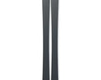 Fischer Ranger 96 Skis 2026 - Skis