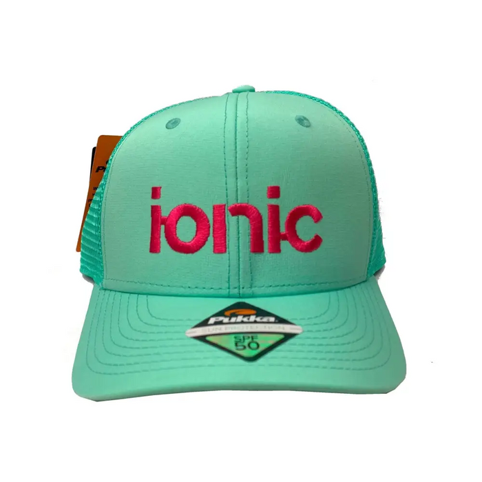 Ionic Snap Back Hat - Mountain Cultures
