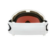 Oakley Flight Deck L Goggles 2024 - Mountain Cultures