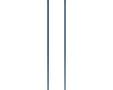 Atomic Revent Lite Ski Pole