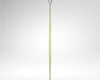 Rossignol Soul 102 Ski 2027